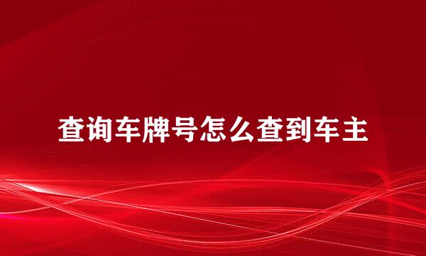 查询车牌号怎么查到车主