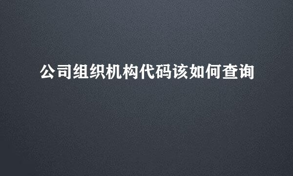 公司组织机构代码该如何查询