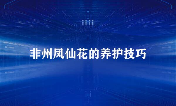 非州凤仙花的养护技巧