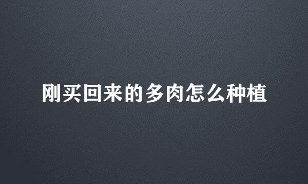 刚买回来的多肉怎么种植
