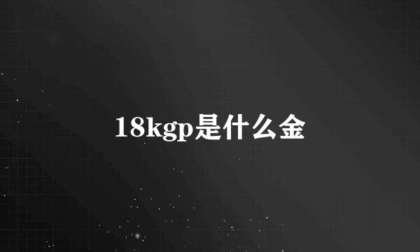 18kgp是什么金