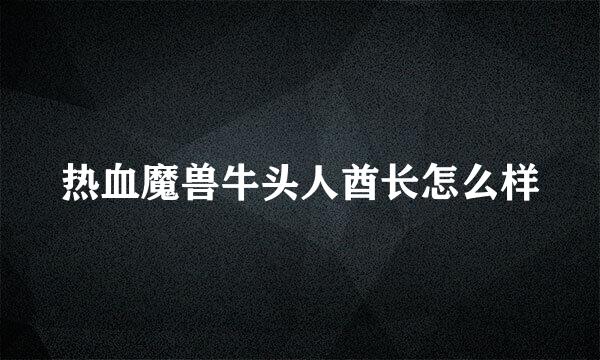 热血魔兽牛头人酋长怎么样