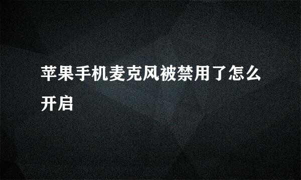 苹果手机麦克风被禁用了怎么开启
