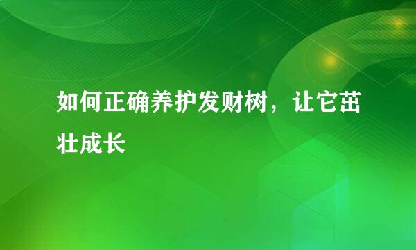 如何正确养护发财树，让它茁壮成长