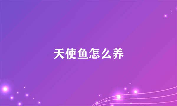 天使鱼怎么养