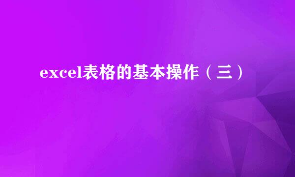 excel表格的基本操作(三)