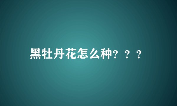 黑牡丹花怎么种？？？