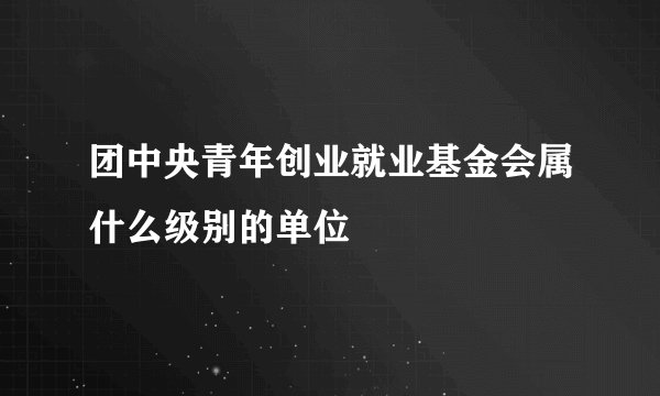 团中央青年创业就业基金会属什么级别的单位