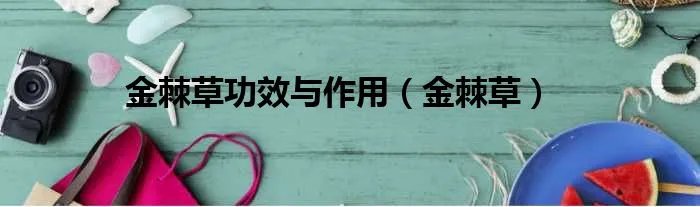 金棘草功效与作用（金棘草）