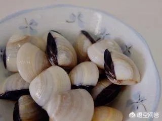 沙芥怎么吃?