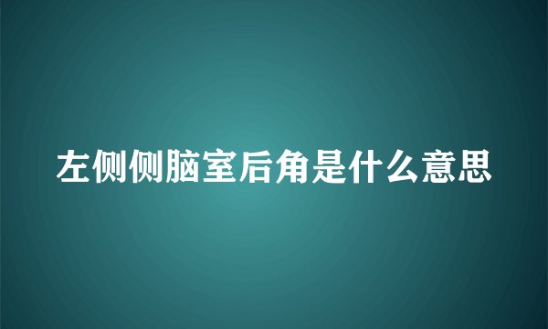 左侧侧脑室后角是什么意思