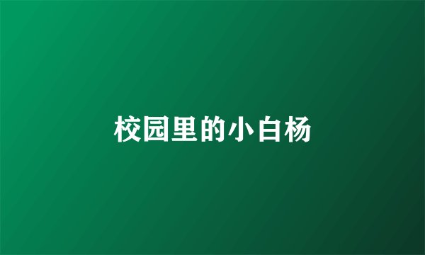 校园里的小白杨