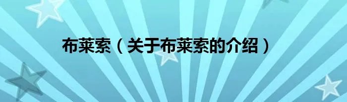 布莱索(关于布莱索的介绍)