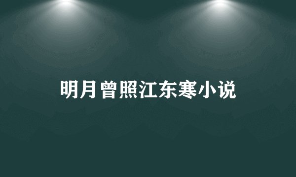 明月曾照江东寒小说