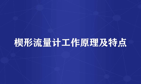 楔形流量计工作原理及特点