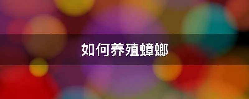 如何养殖蟑螂