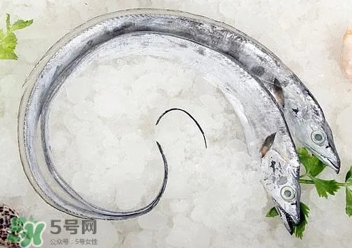 带鱼是深海鱼吗?带鱼是海鲜吗