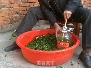 腌制雪里红