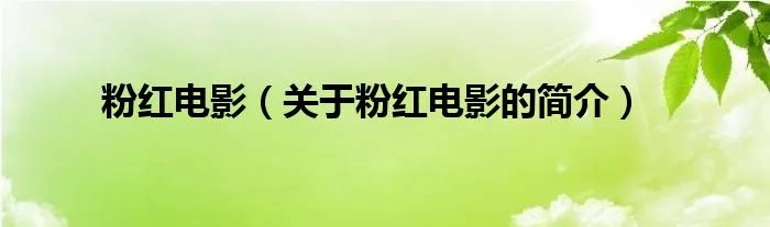 粉红电影（关于粉红电影的简介）
