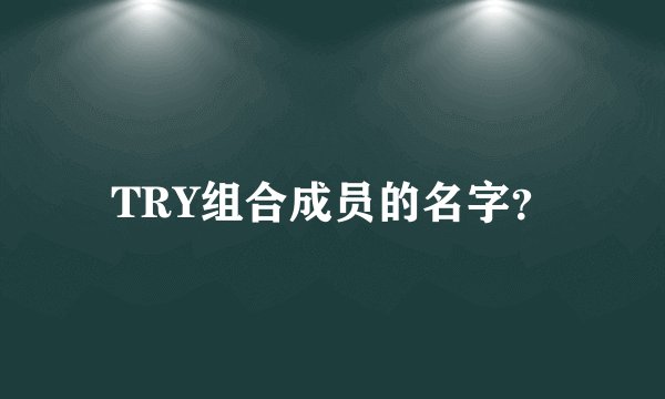 TRY组合成员的名字？