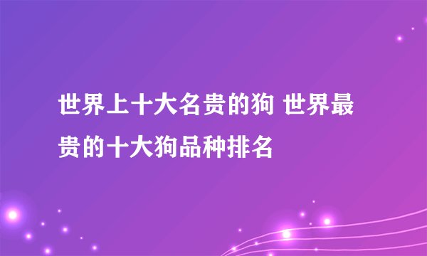 世界上十大名贵的狗 世界最贵的十大狗品种排名