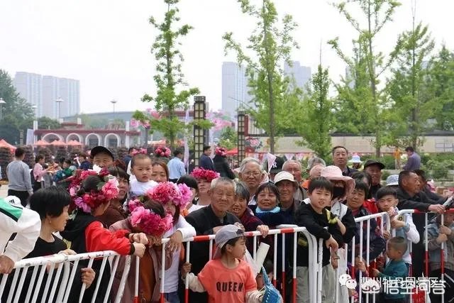 菏泽牡丹花会2019人多吗?