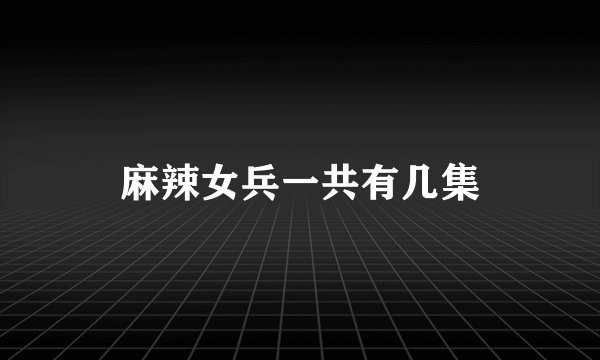 麻辣女兵一共有几集