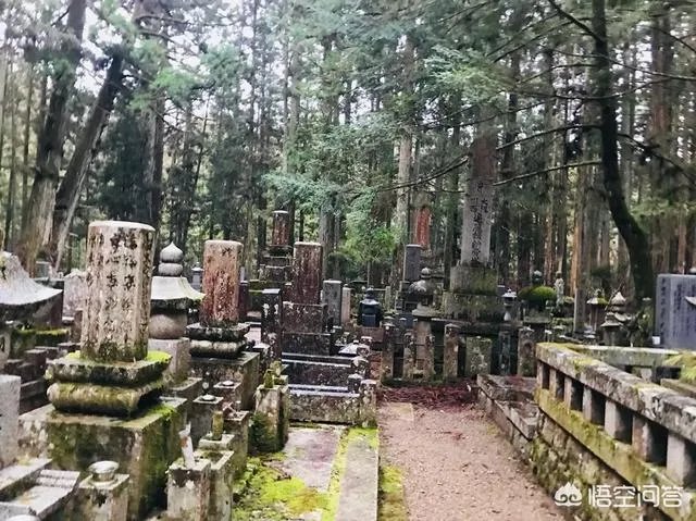 请问最近有没有去过高野山的朋友？