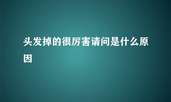 头发掉的很厉害请问是什么原因