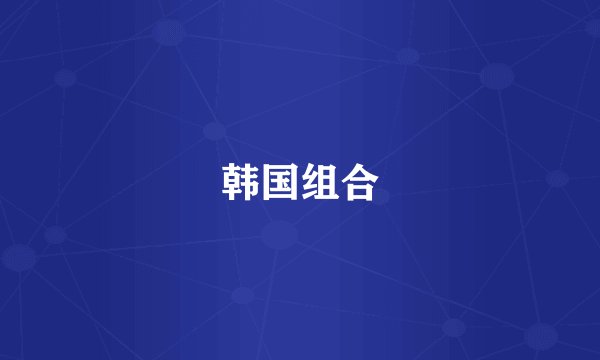 韩国组合