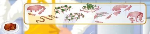 怎样玩土耳其火鸡