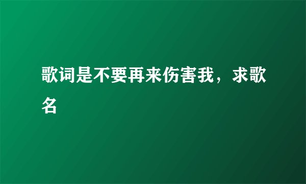 歌词是不要再来伤害我，求歌名