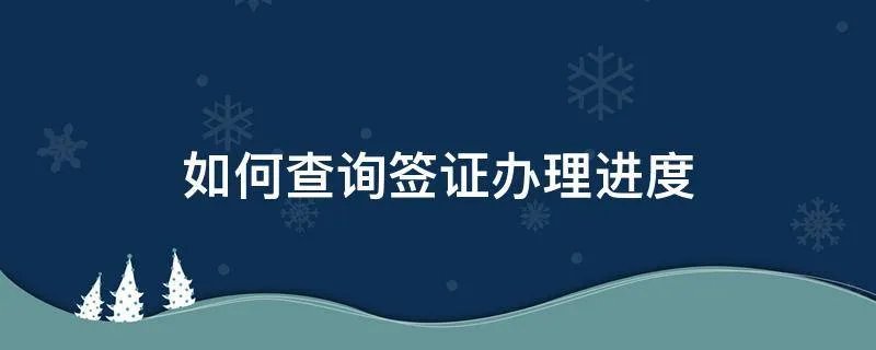 如何查询签证办理进度