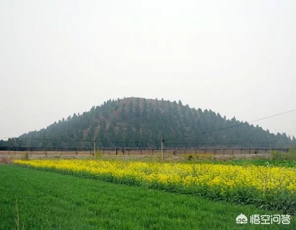 如何看待陕西省兴平市的未来发展?