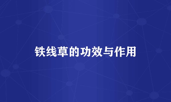 铁线草的功效与作用