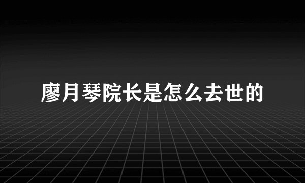 廖月琴院长是怎么去世的