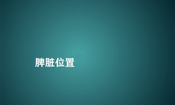 
    脾脏位置
  