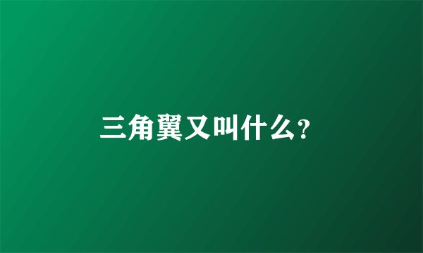 三角翼又叫什么？