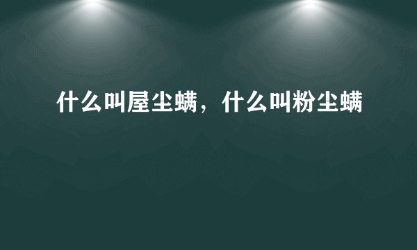 什么叫屋尘螨，什么叫粉尘螨