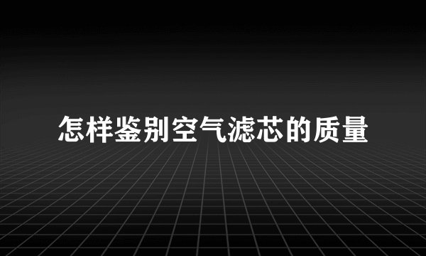 怎样鉴别空气滤芯的质量