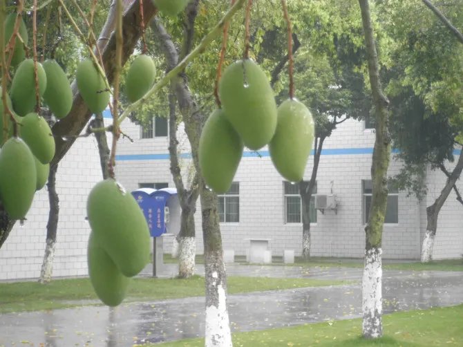 塔山英雄团好吗???