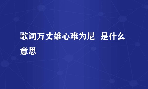 歌词万丈雄心难为尼  是什么意思