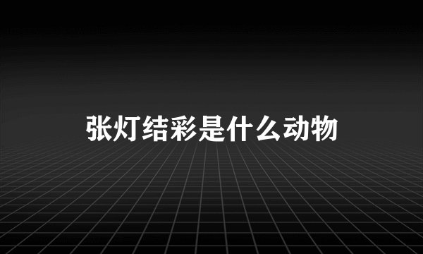 张灯结彩是什么动物