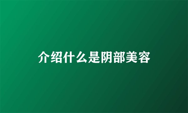 介绍什么是阴部美容