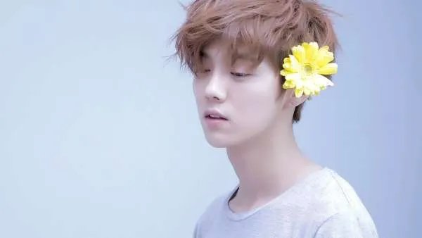 鹿晗被造谣事件甩锅迪丽热巴和吴亦凡，事情的来龙去脉是什么？