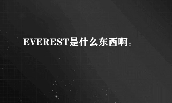 EVEREST是什么东西啊。