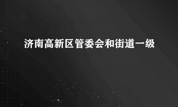 济南高新区管委会和街道一级