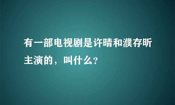 有一部电视剧是许晴和濮存昕主演的，叫什么？