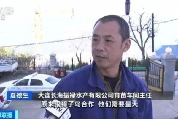 獐子岛利用扇贝跑路事件做出了哪些违法行为?