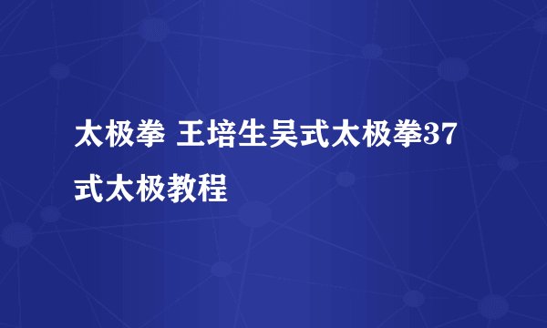 太极拳 王培生吴式太极拳37式太极教程